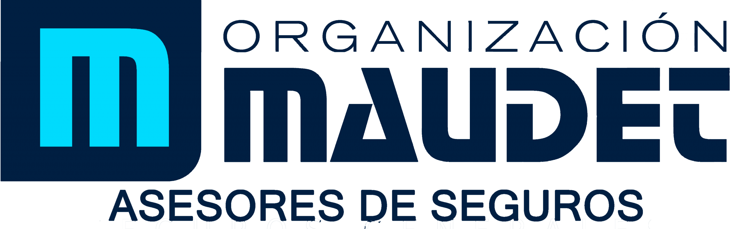 Organización Maudet